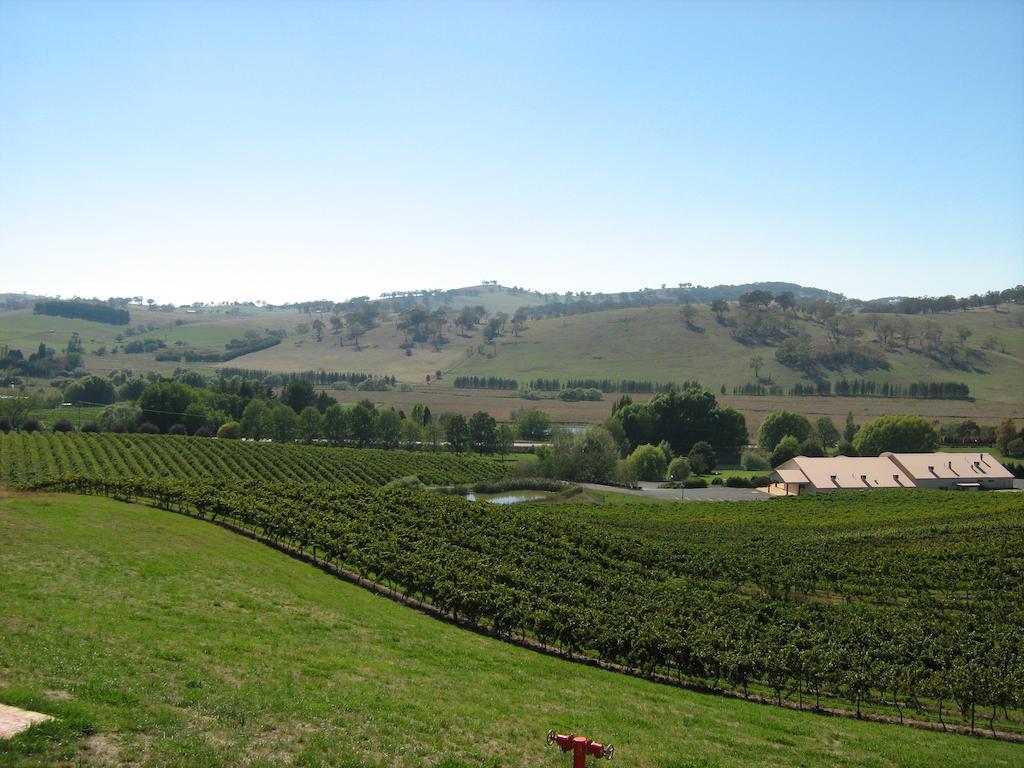 Turners Vineyard Motel Orange Room photo