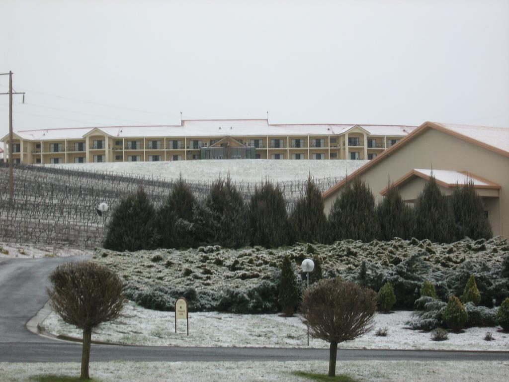 Turners Vineyard Motel Orange Exterior photo