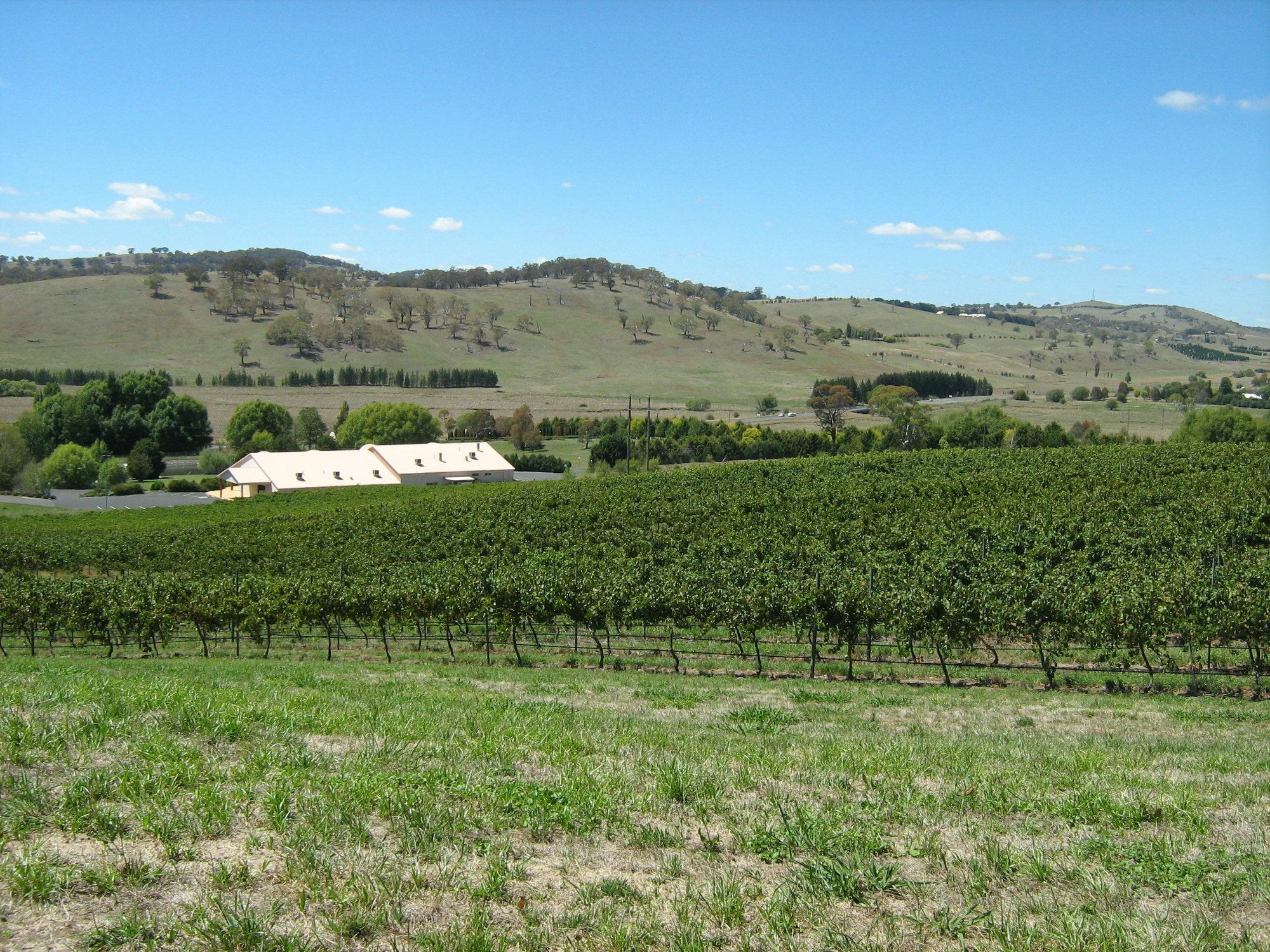 Turners Vineyard Motel Orange Exterior photo